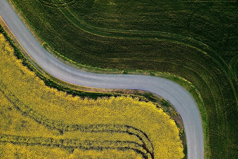 Kompostierung bei der Landwirtschaft. Gelbes und grüner Acker, die durch eine Strasse getrennt werden.